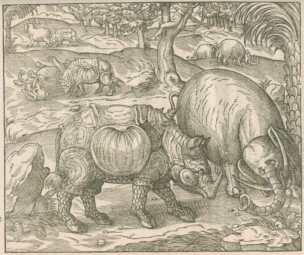 Detail of 'Figure du combat du Rhinoceros contre l'Elephant' by unknown