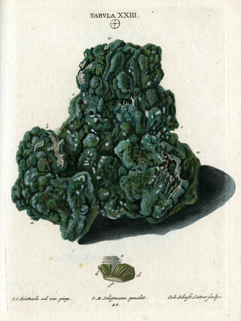 Detail of Crystalline Green Copper by Johann Sebastian Leitner