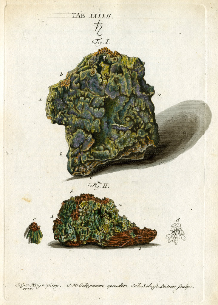 Detail of Green mineral of lead by Johann Sebastian Leitner