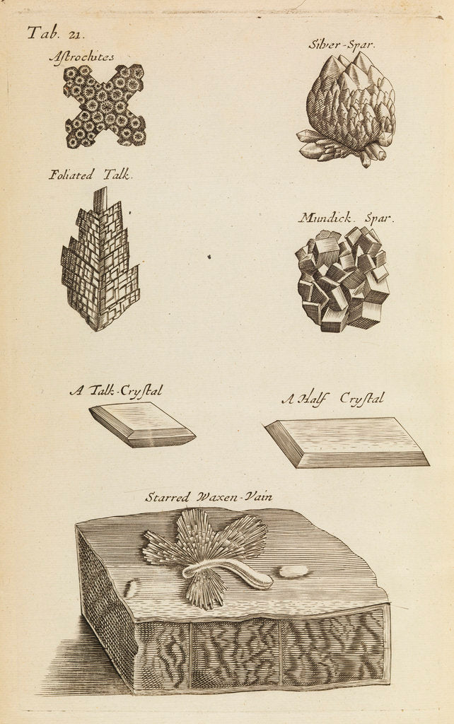 Detail of Stones and crystals in the Royal Society's Repository by Anonymous