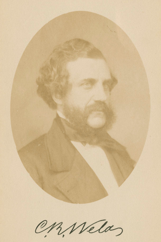 Detail of Portrait of Charles Richard Weld (1813-1869) by John Jabez Edwin Mayall