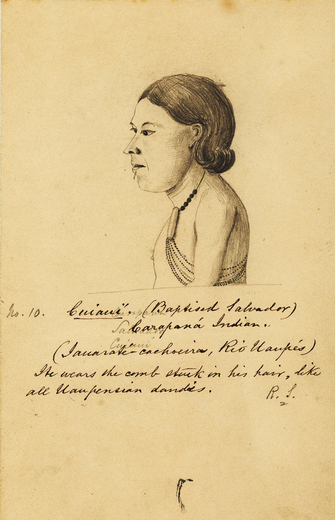 Detail of Portrait of CuiauÃ­ by Richard Spruce