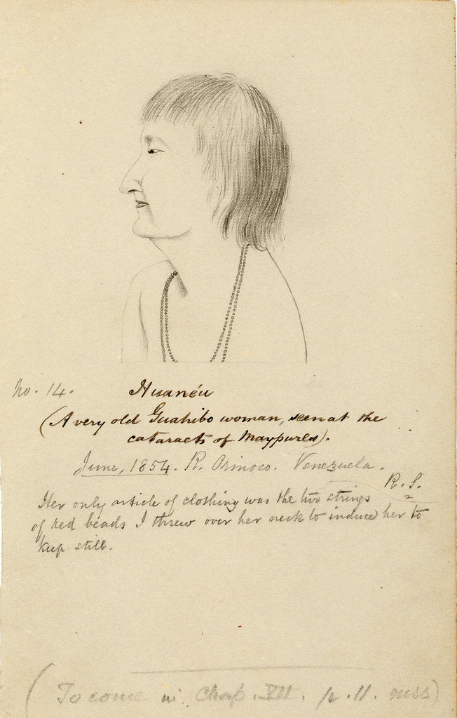 Detail of Portrait of HuanÃ©au by Richard Spruce