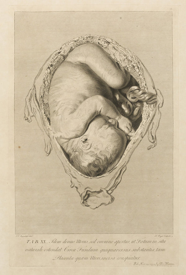 Foetus in the womb posters & prints by Henry Bryer