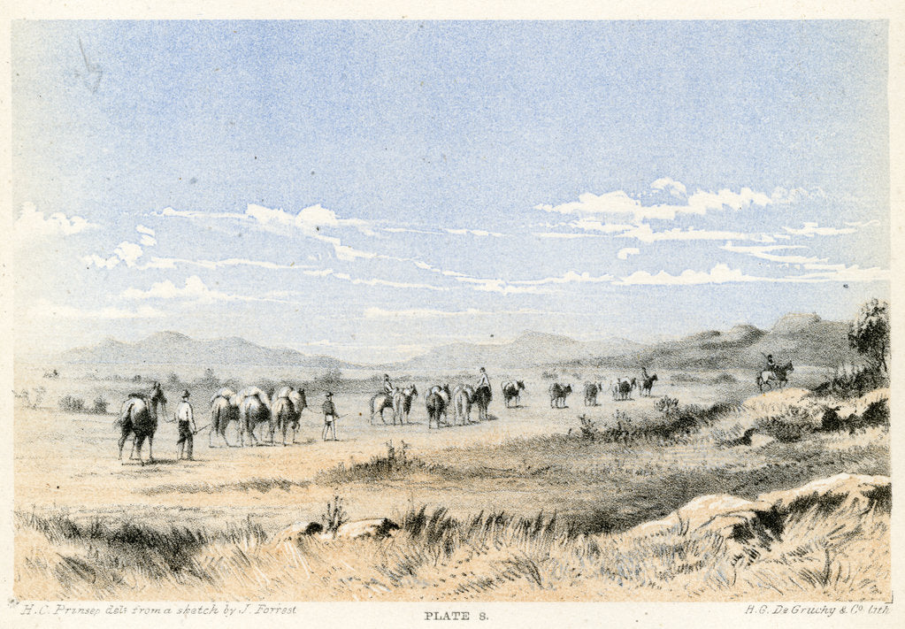 Detail of Robinson Range by Henry Charles Prinsep