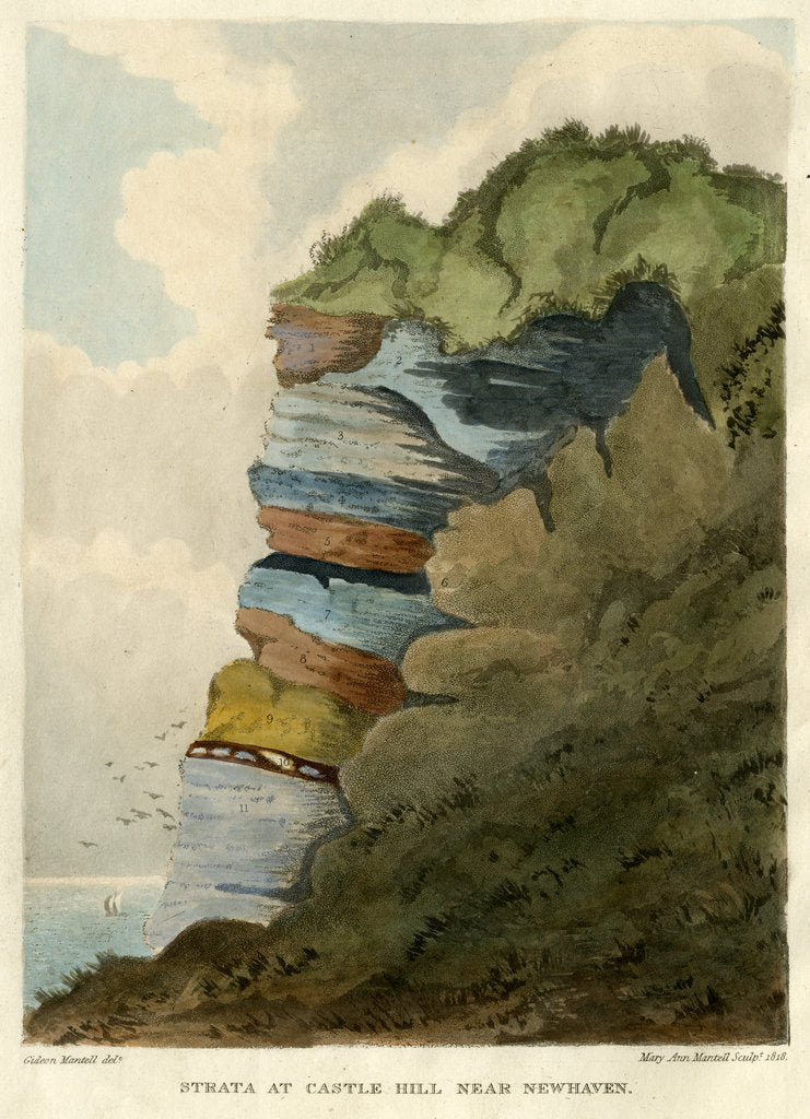 Detail of Strata at Castle Hill by Mary Ann Mantell