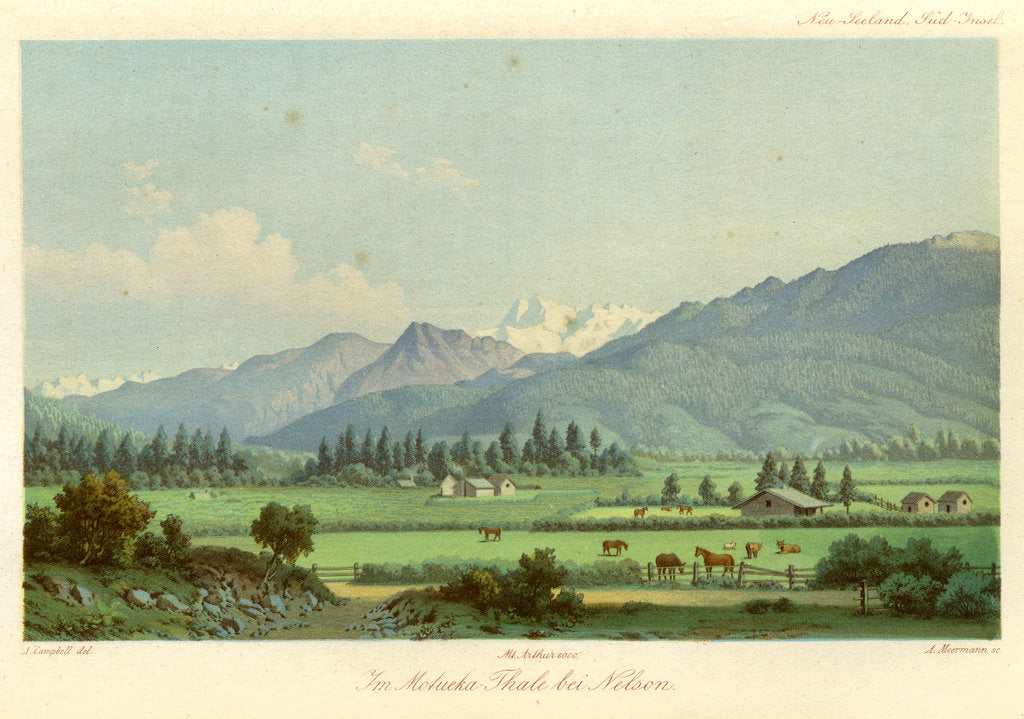 Detail of Motueka Valley, New Zealand by Arnold Meermann