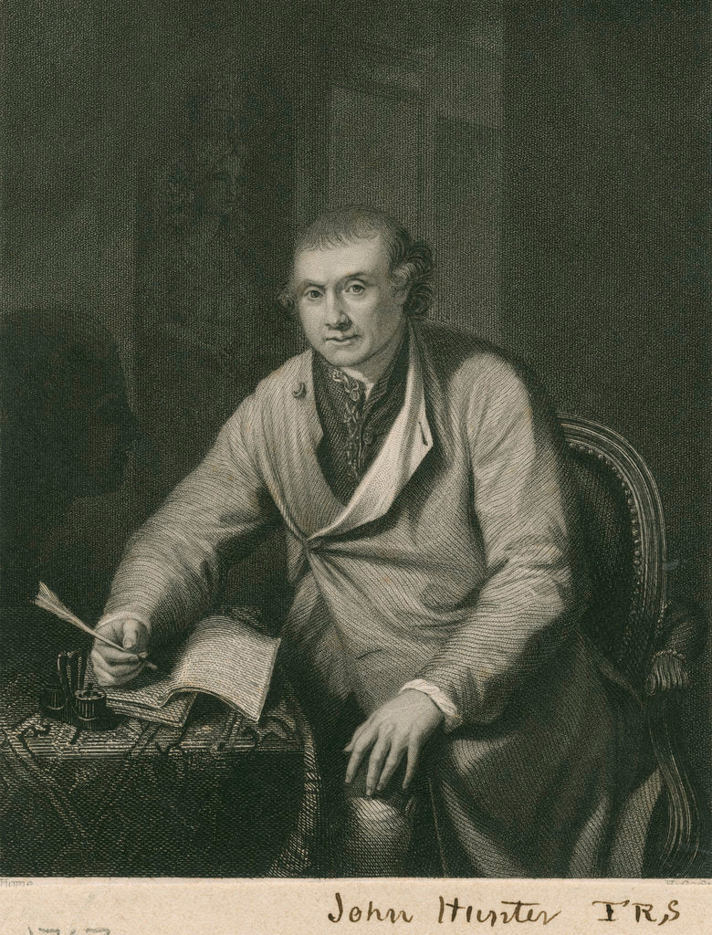 Detail of Portrait of John Hunter (1728-1793) by H Cook