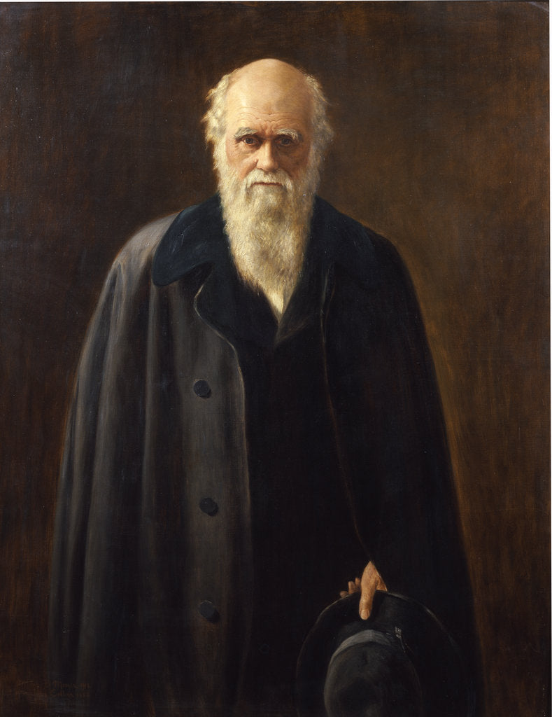 Detail of Portrait of Charles Darwin (1809-1882) by Mabel Messer