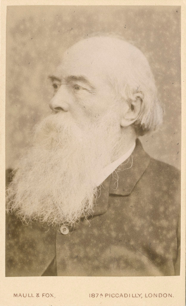 Detail of Portrait of John Charles Bucknill (1817-1897) by Maull & Fox