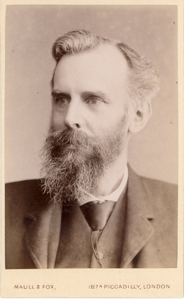 Detail of Portrait of John Venn (1834-1923) by Maull & Fox