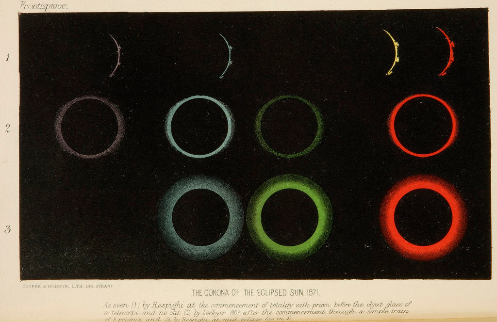 Detail of Corona of the eclipsed Sun, 1871 by Cooper & Hodson