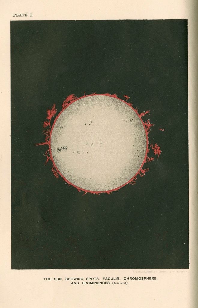 Detail of The sun showing spots, faculae, chromosphere, and prominences by Cassell & Co