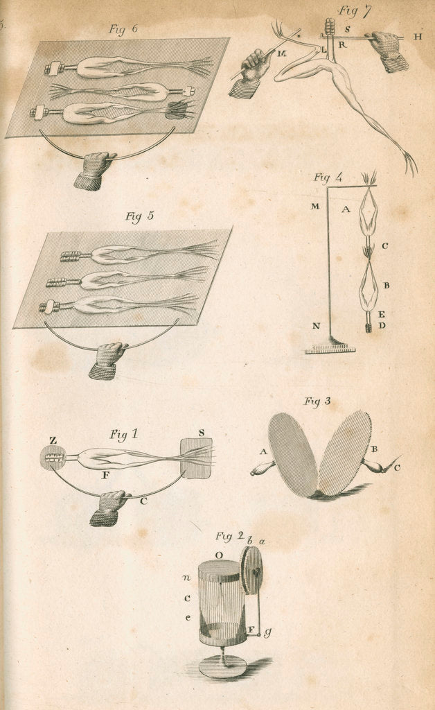 Detail of Experiments on galvanism with frogs by Anonymous