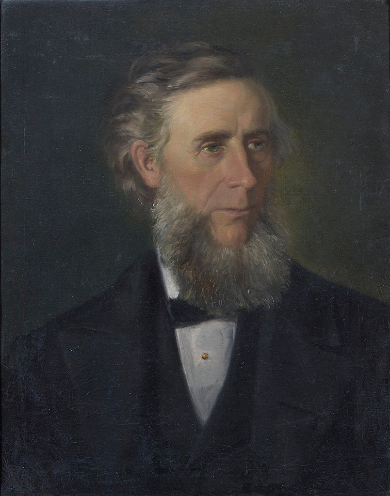 Detail of Portrait of John Tyndall (1820-1893) by Victor Zippenfeld