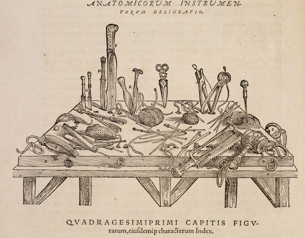 Detail of 'Anatomicorum instrumentorum delineatio' by Studio of Titian