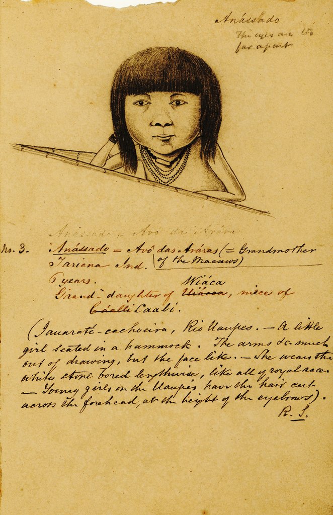 Detail of Portrait of Anássado by Richard Spruce