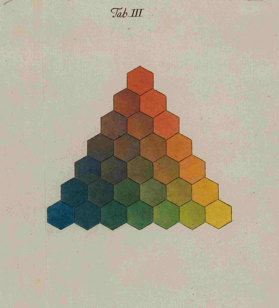 Detail of Colour triangle by Tobias Mayer
