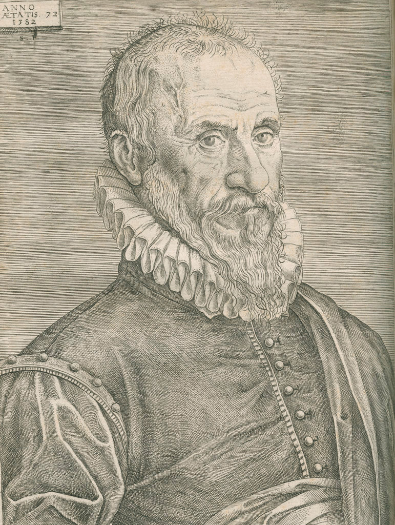 Detail of Portrait of Ambroise ParÃš (1505-1590) by Anonymous