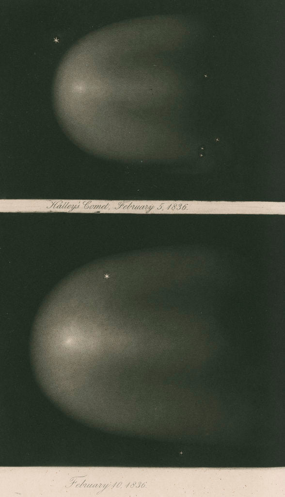 Detail of Halley's Comet, 5 and 10 February 1836 by James Basire III