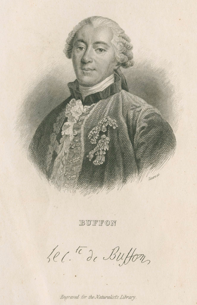 Portrait of George Louis Leclerc, Comte de Buffon (1707-1788) by William Home Lizars
