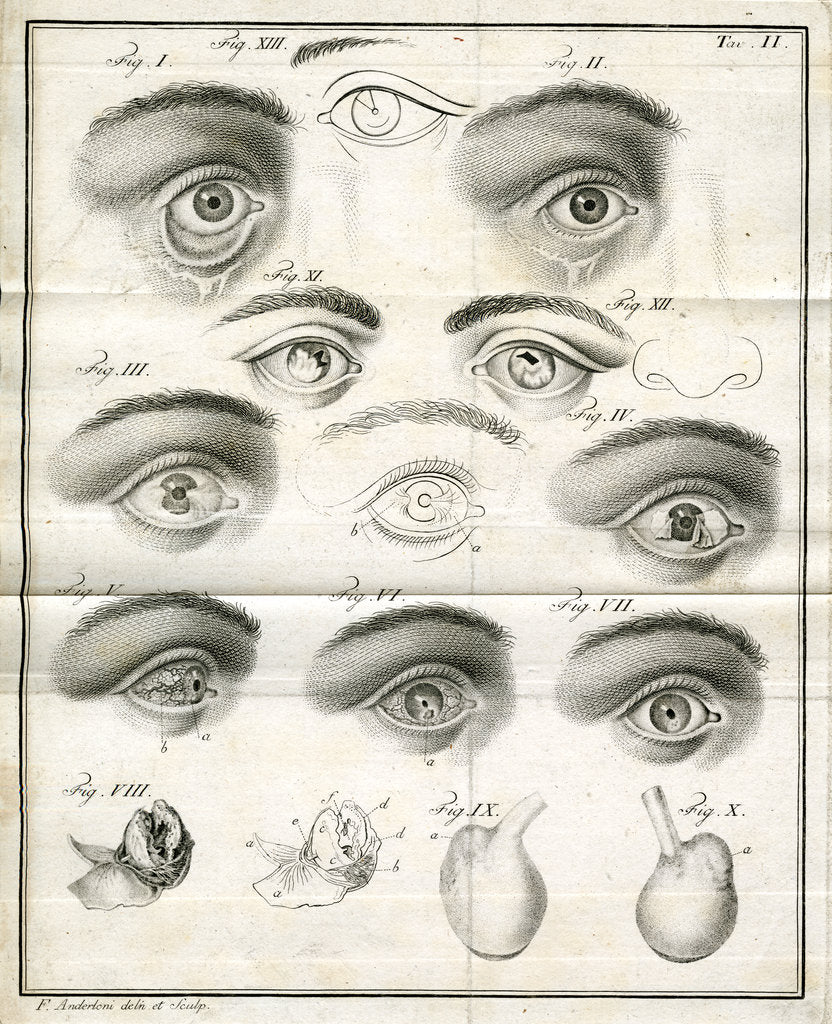 Detail of Diagrams of the eye by Faustino Anderloni