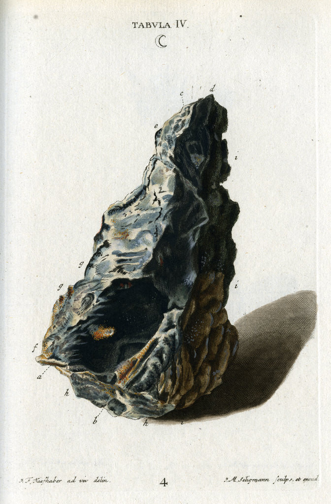 Detail of Crude white silver by Johann Michael Seligmann