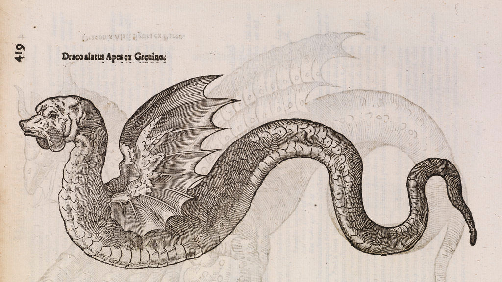 Detail of A 'winged dragon' by unknown