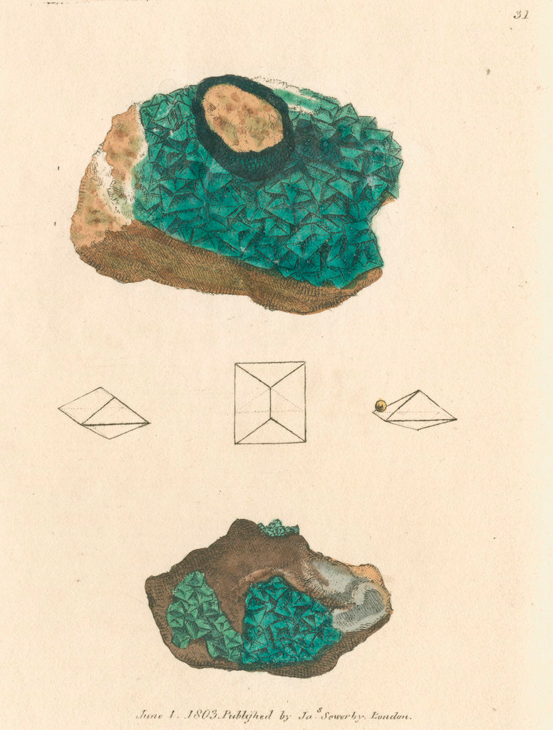 Detail of 'Cuprum arseniatum' by James Sowerby