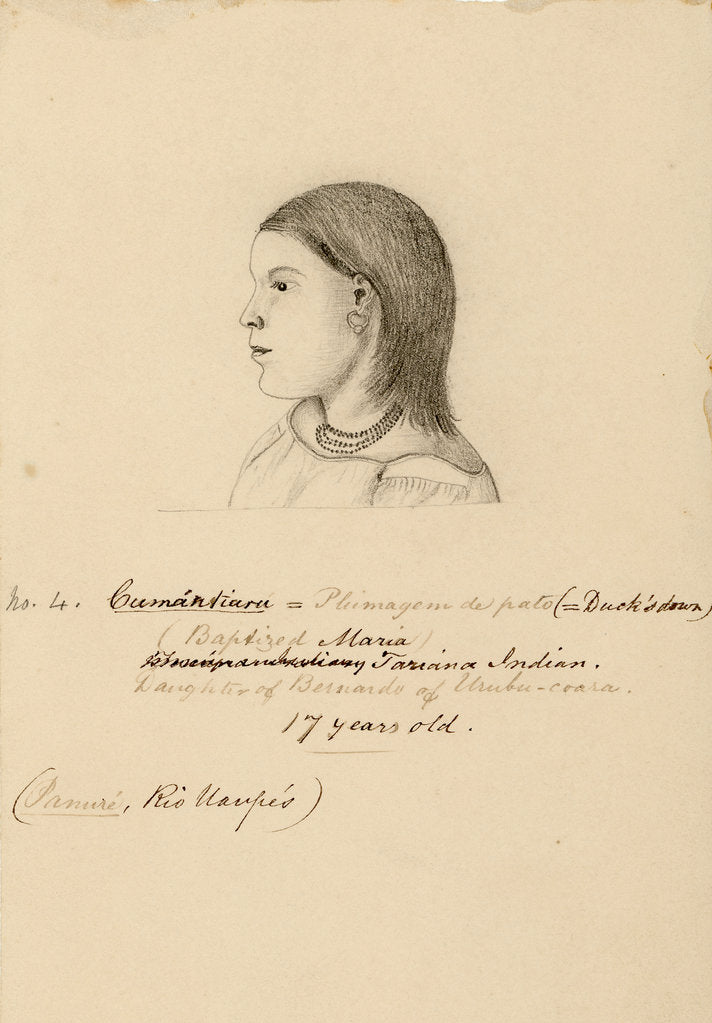 Detail of Portrait of CumÃ¡ntiara by Richard Spruce