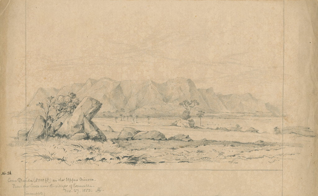 Detail of Cerro Duida by Richard Spruce