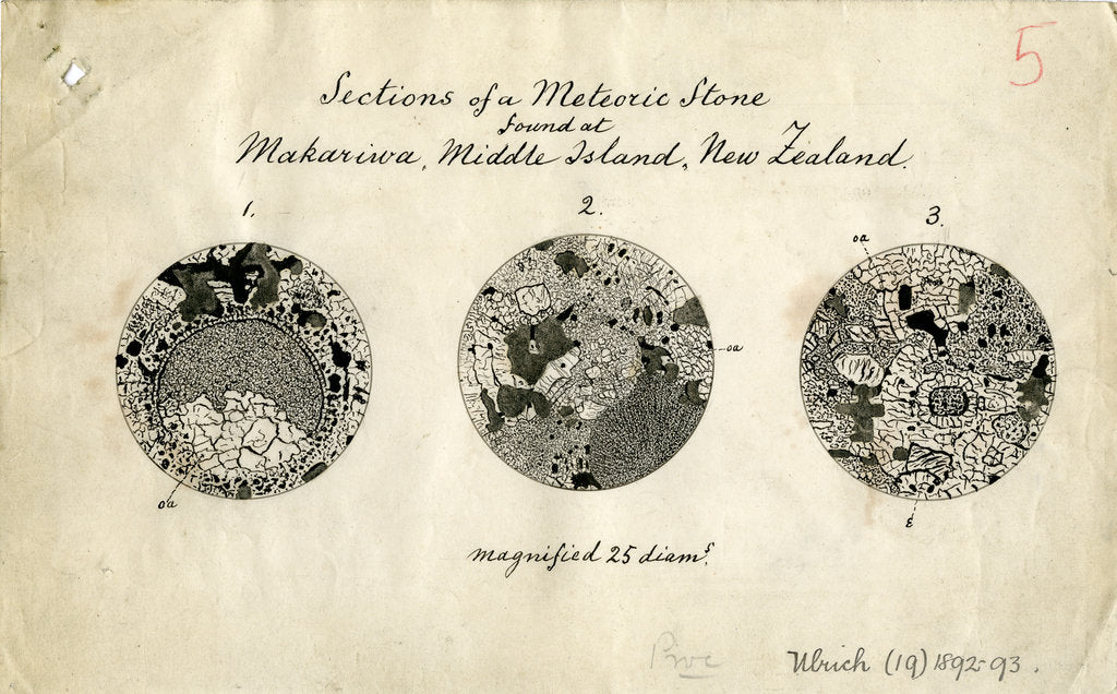 Sections of meteorite by George Henry Frederick Ulrich