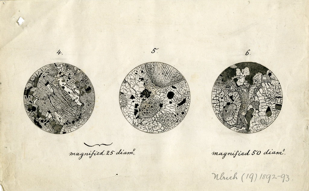 Sections of meteorite by George Henry Frederick Ulrich