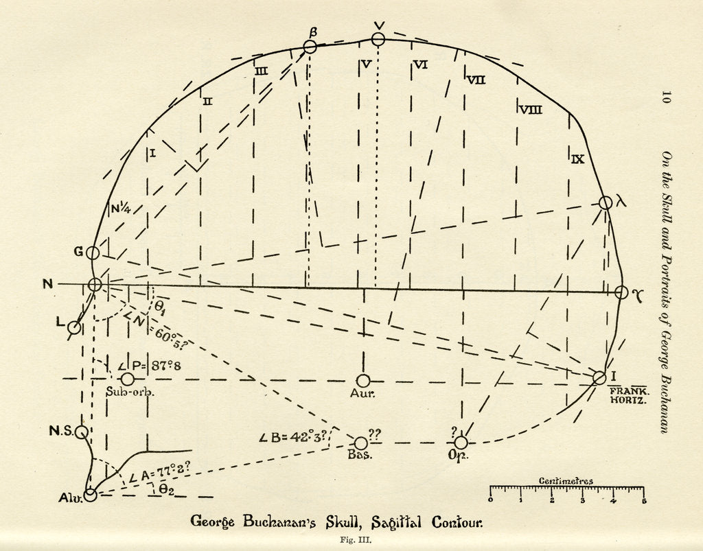 Detail of Measurements of George Buchanan's skull by unknown