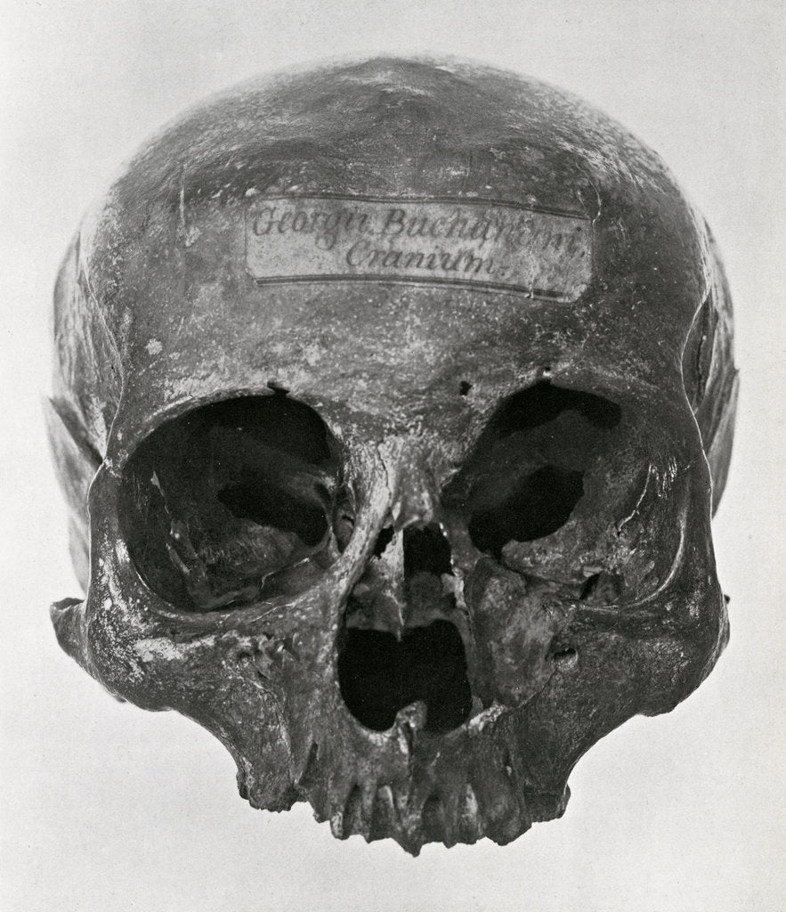 George Buchanan's skull by unknown