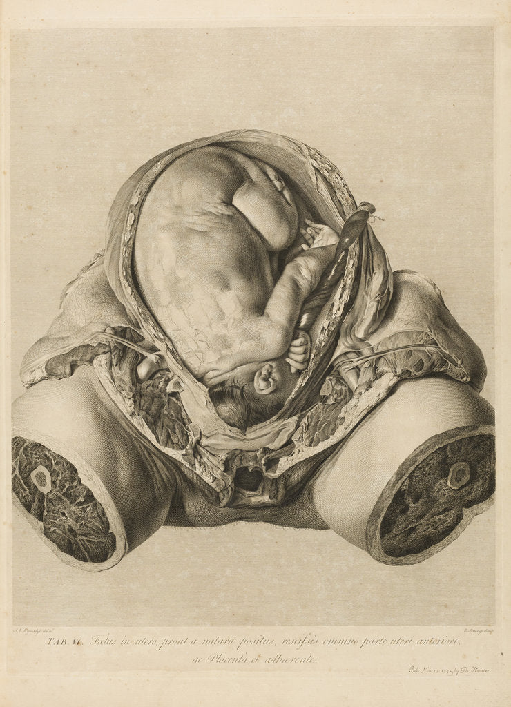 Detail of Foetus in the womb by Robert Strange