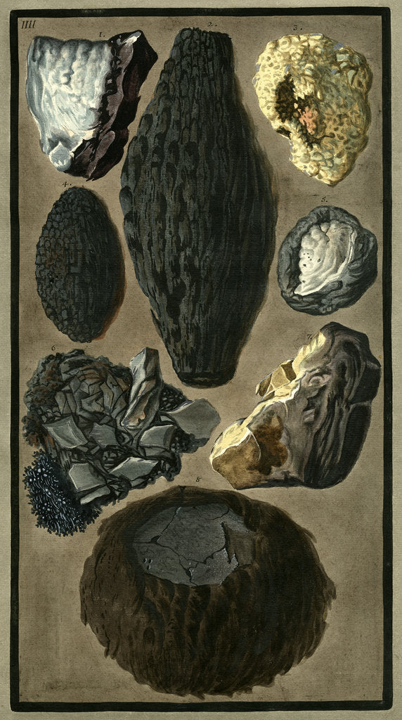 Rock specimens by Pietro Fabris