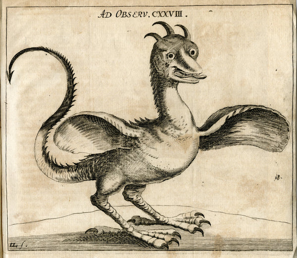 Basilisk posters & prints by Unknown