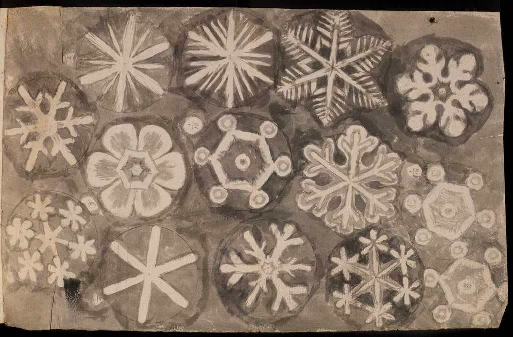 Detail of 'Figures observ'd in snow' by Robert Hooke