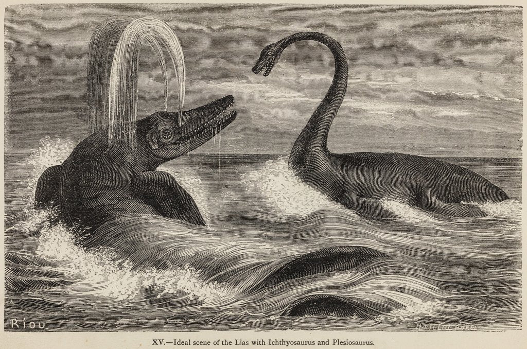 Detail of Ichthyosaur and plesiosaur by Unknown artist