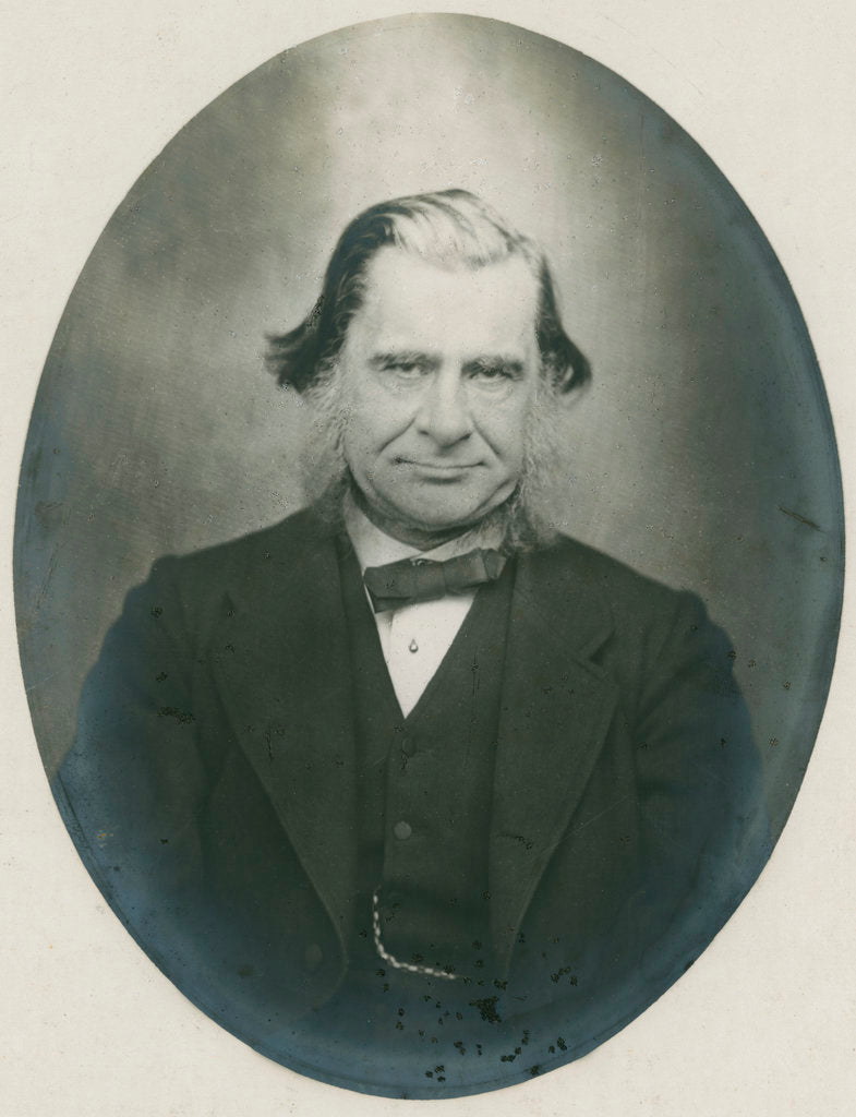 Detail of Portrait of Thomas Henry Huxley (1825-1895) by Anonymous