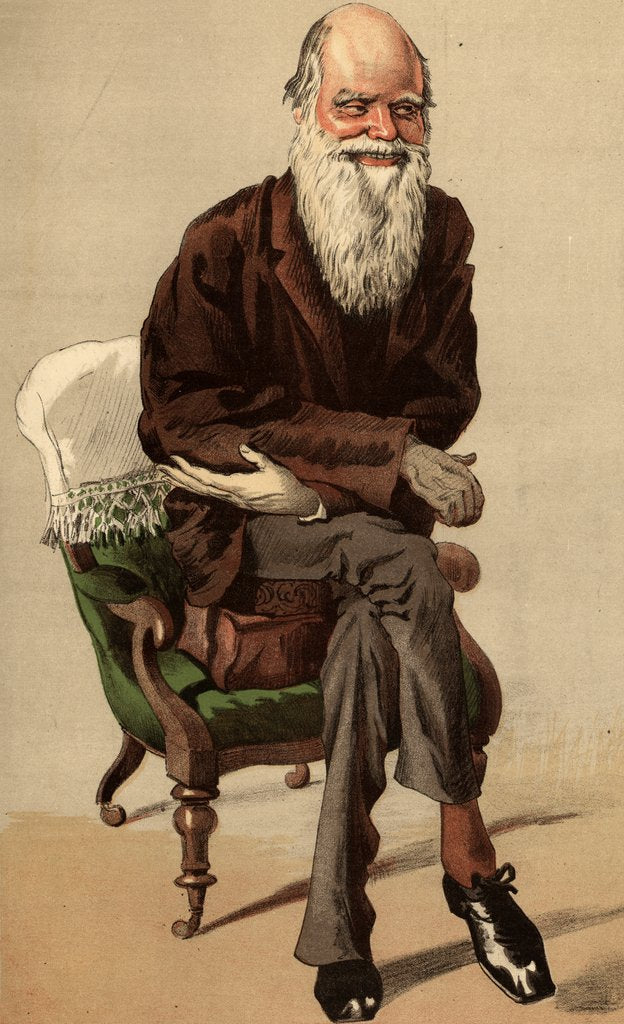 Detail of Caricature of Charles Robert Darwin by Jacques Joseph Tissot