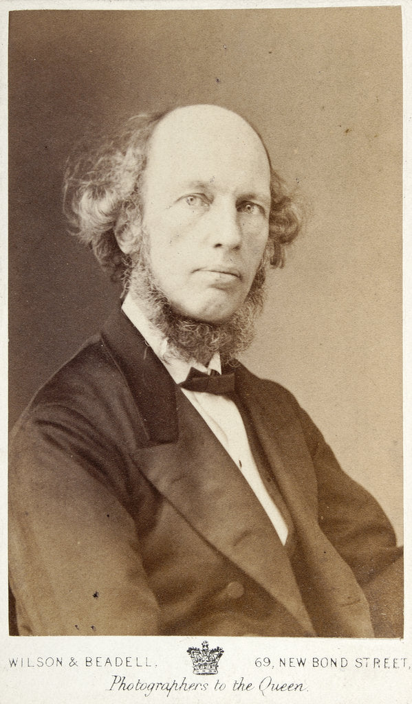 Detail of Portrait of William Benjamin Carpenter (1813-1885) by Wilson & Beadell