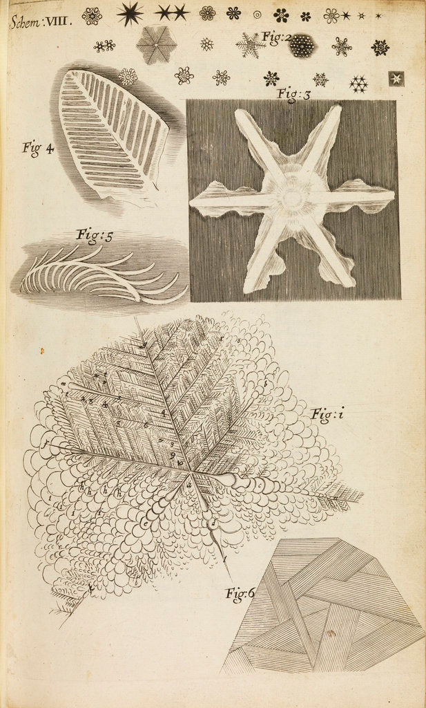 Microscopic view of frozen figures by Robert Hooke