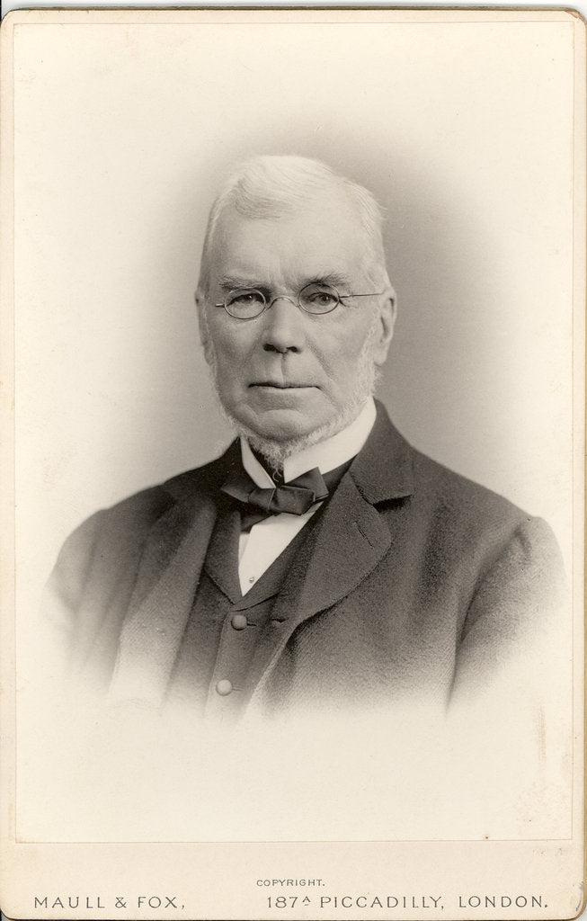 Detail of Portrait of George Johnston Allman (1824-1904) by Maull & Fox