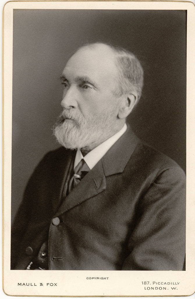 Detail of Portrait of Henry Charlton Bastian (1837-1915) by Maull & Fox
