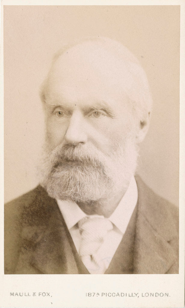Detail of Portrait of Samuel Hawkesley Burbury (1831-1911) by Maull & Fox