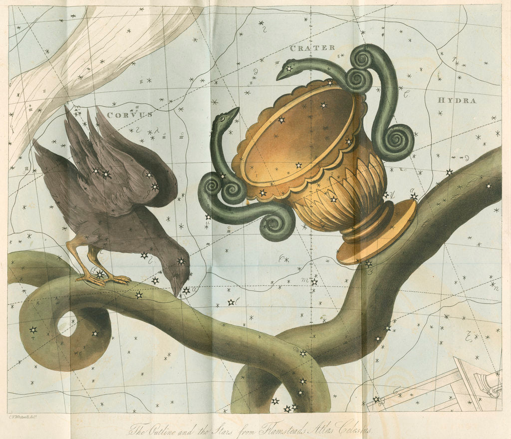 Detail of Constellations of Corvis, Crater and Hydra by Anonymous