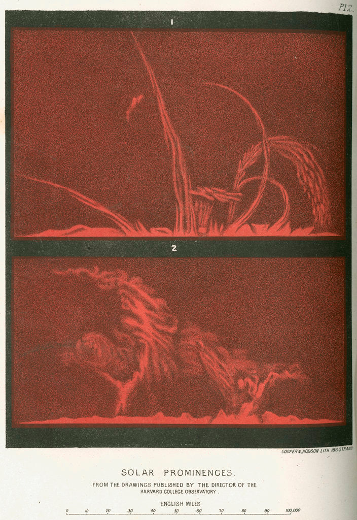 Solar prominences by Cooper & Hodson