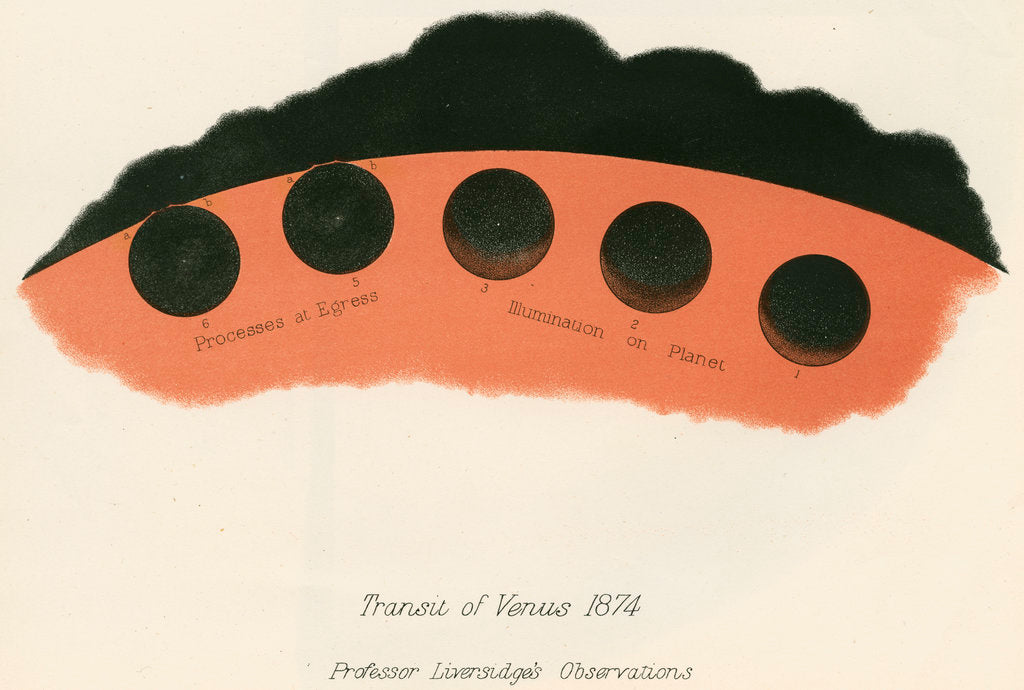 Professor Liversidge's observations of the transit of Venus by Anonymous